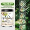 Bionutricia Coconut Water Powders, Natural Plant-Based Electrolyte Rehydration for Daily