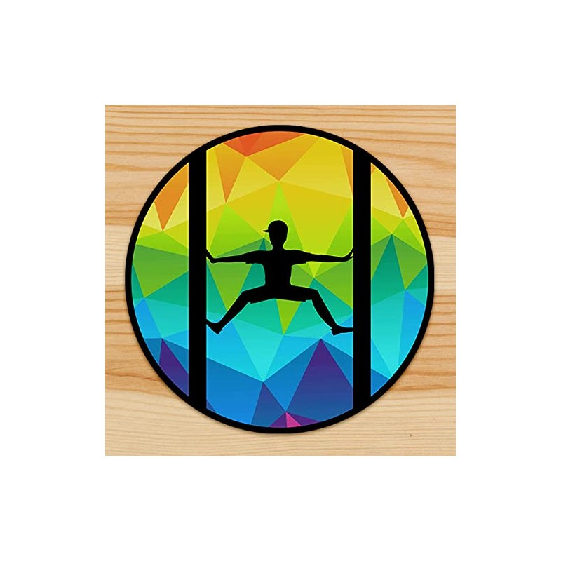 Ninja Warrior Inspired Obstacles Stickers Featuring Salmon Ladder, Jumping Spider