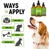 GoldenPaw Dog Antibiotics for Infections, Cough, UTI & Allergy Relief