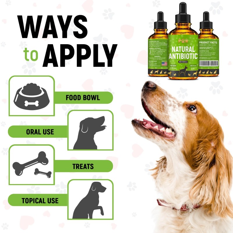 GoldenPaw Dog Antibiotics for Infections, Cough, UTI & Allergy Relief