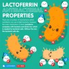 Beta IMMUNE Lactoferrin A2 extra