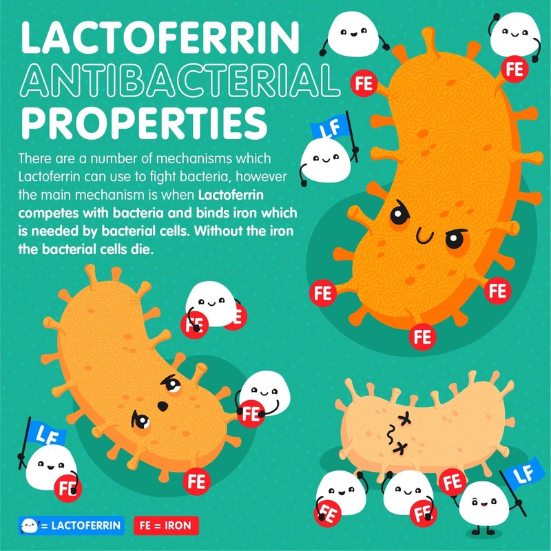 Beta IMMUNE Lactoferrin A2 extra