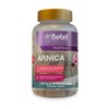 Premium Arnica Capsules by Betel - 1200 mg per Serving