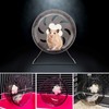 Nicoone Exercise Wheel for Hamsters, 13 cm Silent Hamster Wheel
