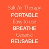 Plant Therapy Pink Himalayan Salt Inhaler w/Pink Himalayan Crystal Salt,