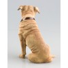 The Leonardo Collection Staffordshire Bull Terrier Dog Ornament Walkies Range
