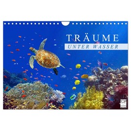 Dreams Under Water (Wall Calendar 2026 DIN A4 Landscape), CALVENDO Monthly Calendar: Impressions from the Underwater World (CALVENDO Animals)