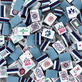 Custom Luxury 4 Tier American Mahjong Set Includes 4 Sets of Instructions and 160 Acrylic Mahjong Tiles for Family GatheringsColor: Grey-3