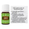 Young Living Aceite Esencial De Kunzea Young Living