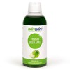 winwinCLEAN - Fresh Air Air Purification Concentrate 'Green Apple' 500