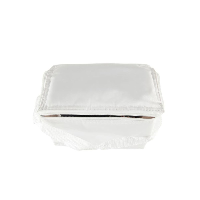 Thermal Insulated Portable Cool Canvas Stripe Lunch Picnic Totes Carry