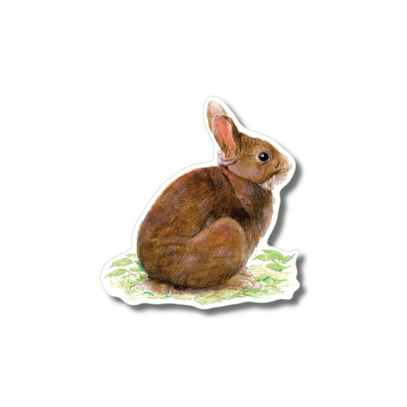 Earth Sky + Water - Cottontail Rabbit - 3.5″ Sticker