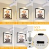 Ajbvp 5-Color LED Track Lighting Heads 12W Dimmable,Adjustable Beam Degree15°/24°/36°/45°/60°,2700K/3000K/3500K/4000K/5000K,Single