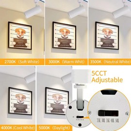 Ajbvp 5-Color LED Track Lighting Heads 12W Dimmable,Adjustable Beam Degree15°/24°/36°/45°/60°,2700K/3000K/3500K/4000K/5000K,Single Circuit H Track Lighting Heads Ceiling Fixtures (White)