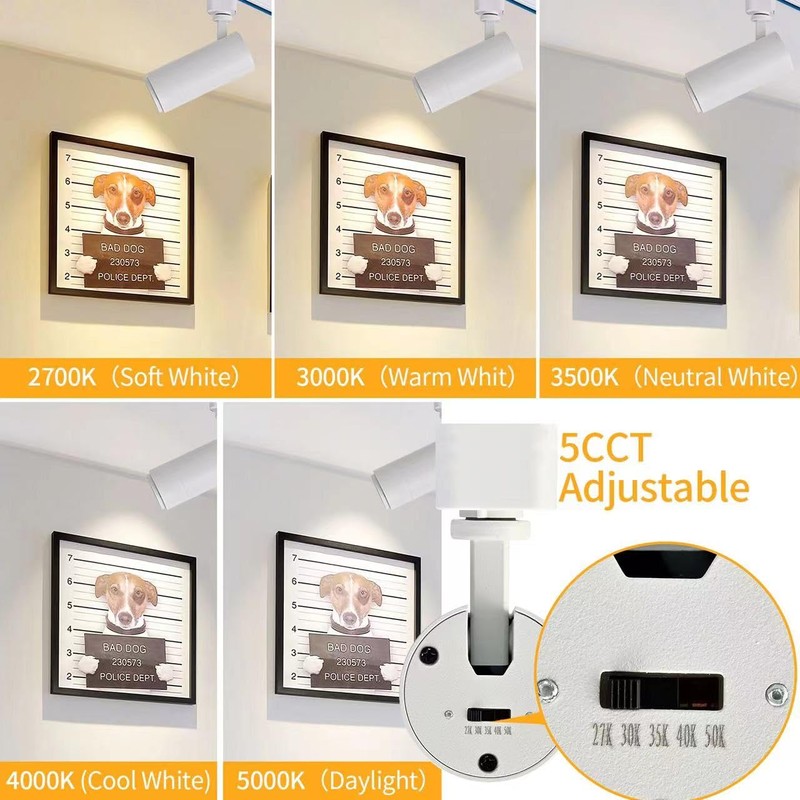 Ajbvp 5-Color LED Track Lighting Heads 12W Dimmable,Adjustable Beam Degree15°/24°/36°/45°/60°,2700K/3000K/3500K/4000K/5000K,Single