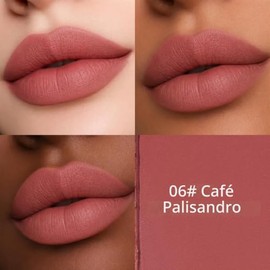 Erinde Lápiz Labial Mate, Lápiz Labial De Larga Duración, A06#