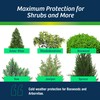 Wilt-Pruf® Concentrate | Protect Against Winter Damage, Drought, and Stress
