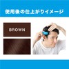 Men's Bigen Quick Stick Brown Gray Hair Dye Slight Gray