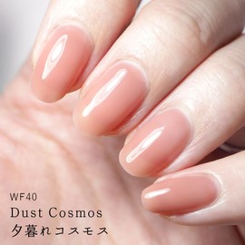 HOMEI WEEKLY GEL WF42 Amber Osmanthus