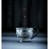 Bodum Chambord 1970-01-2 Teapot 1.5 L with Coloured Plastic Lid