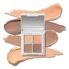 SUIKO Mineral Multi Sharp Palette, Concealer, Shading Highlights, 3D, Small