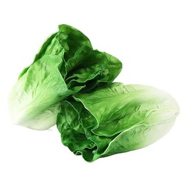 Mellsunny 2 Pcs Realistic Artificial Lettuce Lifelike Fake Lettuce Simulation Fake Vegetable Model Photography Props for Home Kitchen Party Shop Diplay Decoration