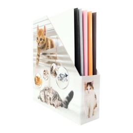 HERMA 19717 Magazine File A4 with Cat Motif, 7.5 cm Wide, Foldable, Sturdy Cardboard, Slim Magazine Holder for Girls and Boys, Standing Folder for Storing Documents, Documents, Folders