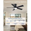 Wellspeed Ceiling Fans with Lights,Indoor/Outdoor Ceiling Fans Remote Control,5 Blades