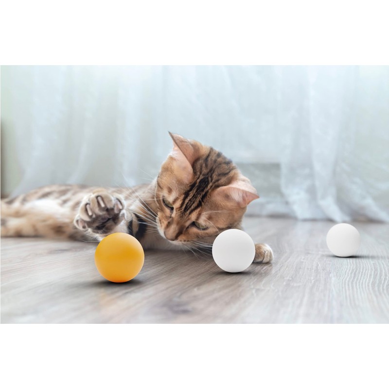 SPORTLINE ® 12 Pack Table Tennis Ping Pong Balls (Pack