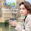 Wrova Wheat Straw Cups 6 PCS Good Alternative to Plastic