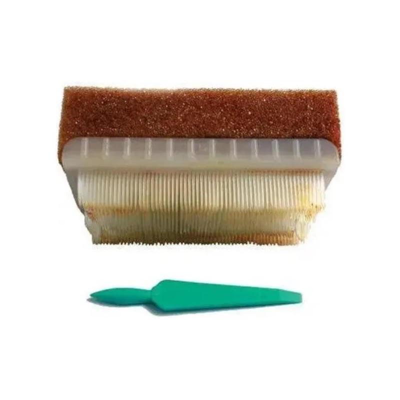 BD Cepillo Bd E-z Scrub 205 Quirurgico Con Yodo 1%