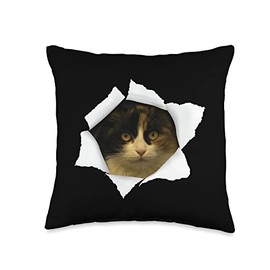 Domestic Longhair Cat Gift for Cat Lover Cute Torn-Domestic Longhair Cat Throw Pillow, 16x16, Multicolor