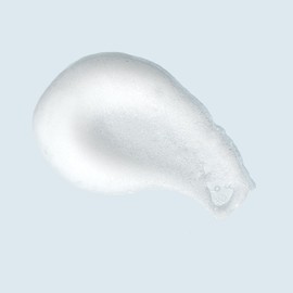 TIZO TIZO Photoceutical Foaming Cleanser, 4 Fl oz