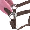 PFIFF Sunny 103103 Headcollar Set, 3-Piece Set of Headcollar, Knit