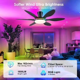 BayDay Ceiling Fans with Lights, Flush Mount Ceiling Fan Led Lights Quiet DC Dimmable 6 Blades (Black Fan, Led Light + Side RGB Light, 51 inch)