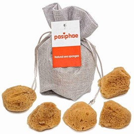 Intimate Mentrual Sea Sponges, 100% Natural Unbleached Sea Sponges as a Natural Tampon Alternative - Reusable, Durable - Pack of 5 (Size 3-5cm)