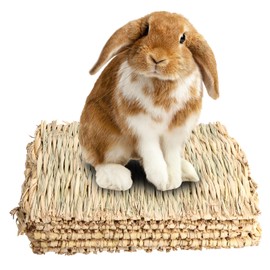 Amexo Pack of 5 Bunny Grass Mat Rabbit Grass Mat Small Animal Grass Mats Animal Chew Toy Natural Hand Woven Grass Mat Safe and Edible for Guinea Pigs Parrots Hamsters and Small Animals