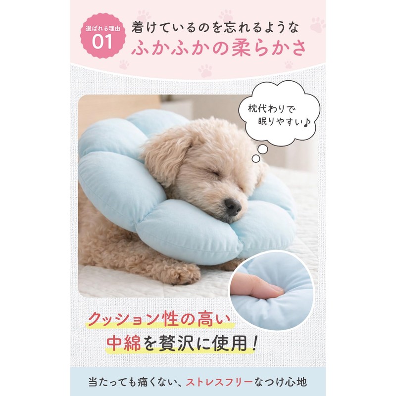 Croissant Magazine, Supervised by Veterinarian x JPPMA Certified, Elizabeth Collar