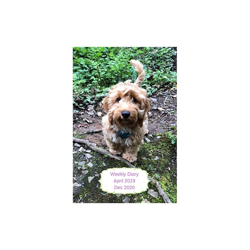 Weekly Diary April 2019-Dec 2020: 6x9 week to a page