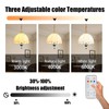 SiJiMingyue Rechargeable Battery Operated Light Bulbs for Non-Hardwired Fixtures with