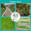 Viilich Wild Herb Brush - 255 x 25.4 mm Cone