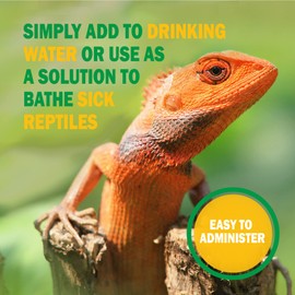 Vetark Reptoboost Power, Electrolyte & Probiotic boost for reptiles & tortoise, Supports recovery following hibernation, Easy to give, 100g powder