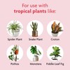 Tropical Potting Soil Mix, 1 Bag 6 Dry Qt., Include
