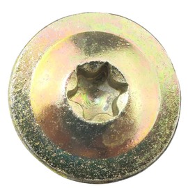 AERZETIX - C48339 - Set of 100 wood screws Ø4x60mm - large domed head - star trough Т20 - brass-coated steel