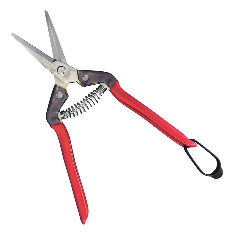 Harvesting tikamasa All Stainless Steel Scissor (for Round Blade) T-6