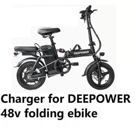 coming data fast 3A power supply battery Charger For 48v DEEPOWER Folding electric bike