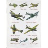 Half a Donkey World War 2 Military Aeroplanes - Large
