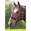 Shires - MJ Ainge and Co Ltd Greenguard Headcollar in