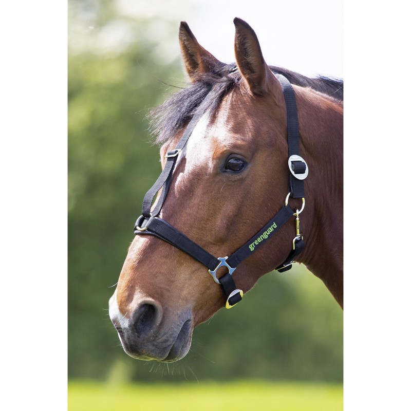 Shires - MJ Ainge and Co Ltd Greenguard Headcollar in