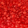 Nile Sweets Cinnamon Discs Hard Candy, Red Wrapped Candy (4